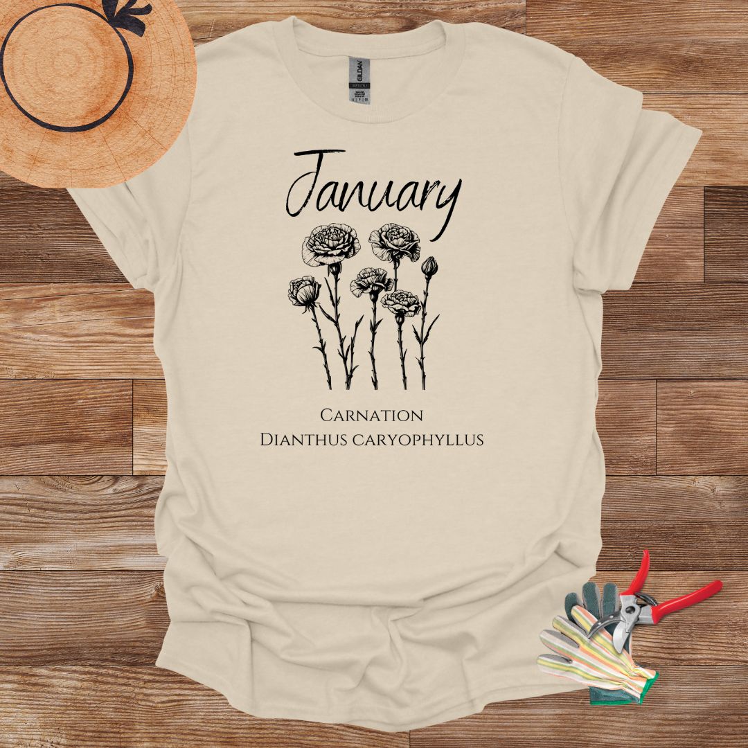 January birth flower