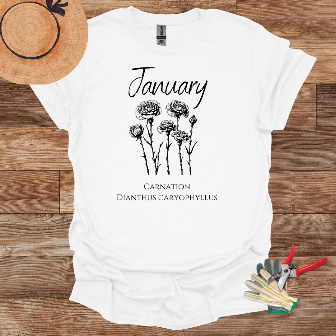 January birth flower